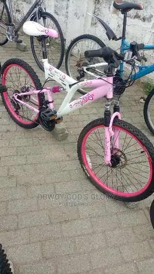 Disc 24 Spring Bike
