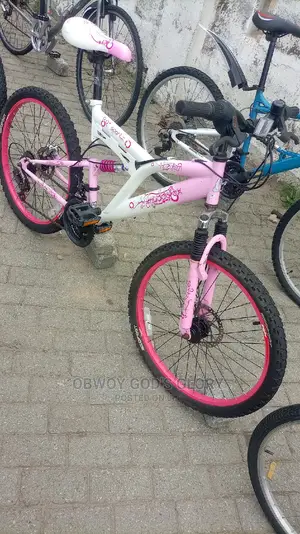 Disc 24 Spring Bike