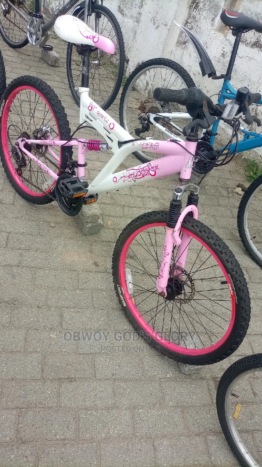 Disc 24 Spring Bike