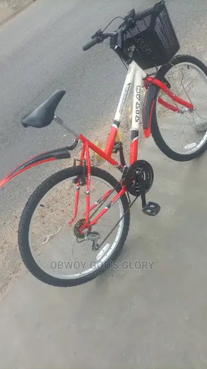 Special Ladies Mountain Bike