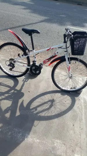 White Ladies Basket Bike