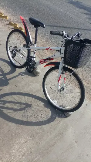 White Ladies Basket Bike