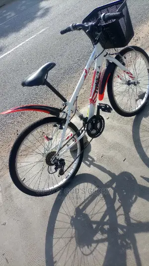 White Ladies Basket Bike