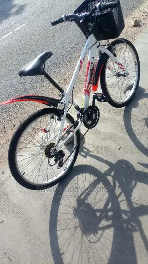 White Ladies Basket Bike