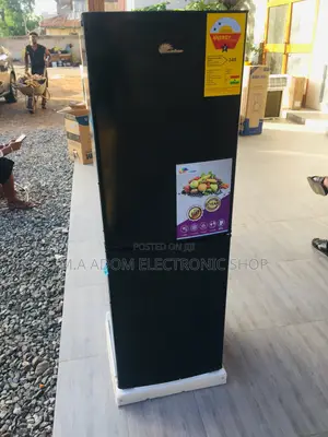 Discover Best Rainbow 200B Bottom Freezer Fridge