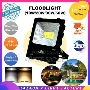 Flood Light 30watts / 50watts/100watts