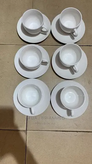 Tea Cup and Saucer Set
