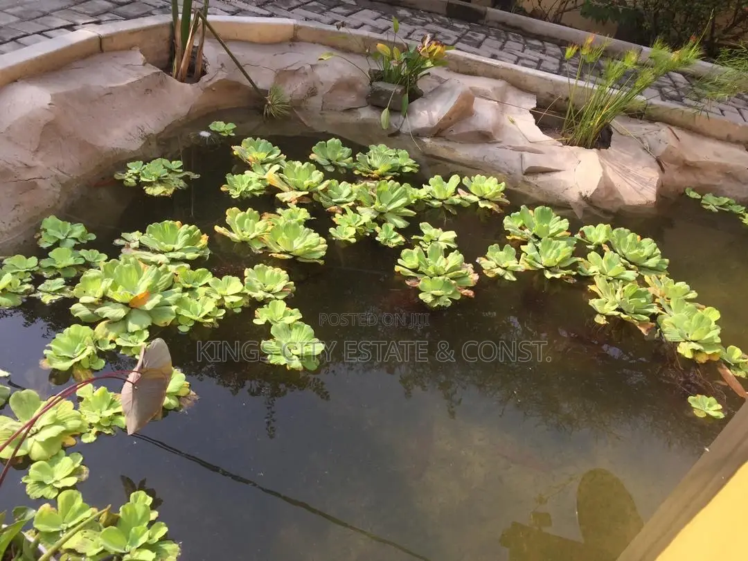4bdrm House in Papaye-Street, Osu for rent