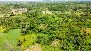 150 Acres of Land at Esusu