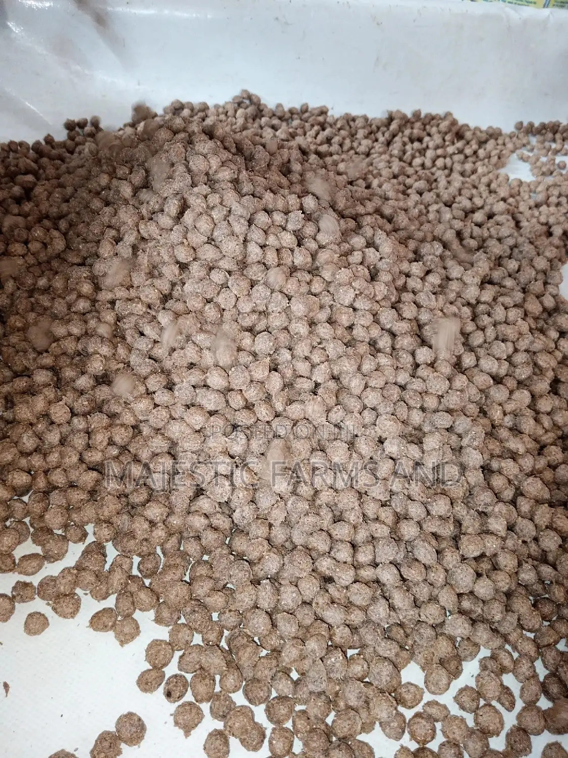 Majestic Floating Fish Feed