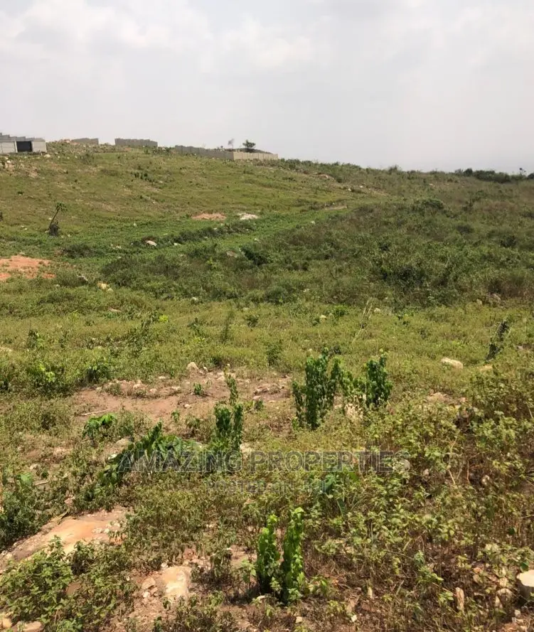 40 Acres of Land at Ayikuma