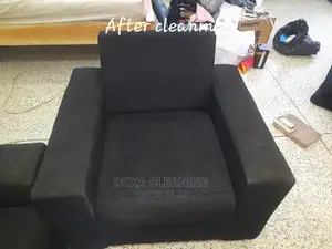 Sofa Cleaning