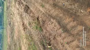 A Tittled Residential Land in Kasoa Krispol City