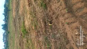 A Tittled Residential Land in Kasoa Krispol City