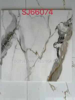 60/60 Polish Tiles