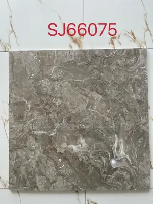 60/60 Polish Tiles