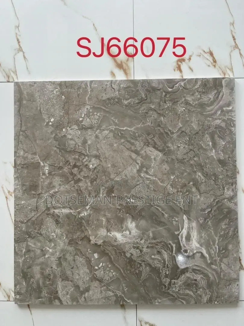 60/60 Polish Tiles