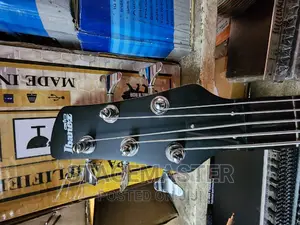 Bass Guitar 5 Strings
