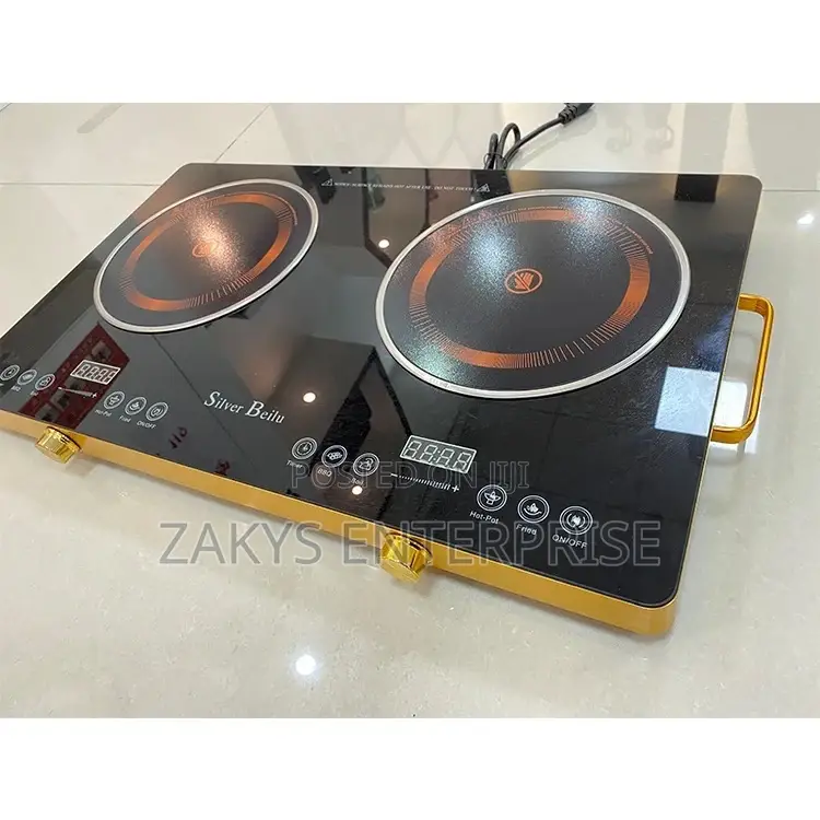 Induction Electric Double Burner