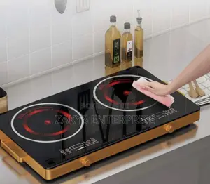 Induction Electric Double Burner
