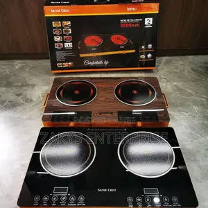 Induction Electric Double Burner
