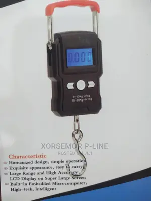 Digital Electronic Scale