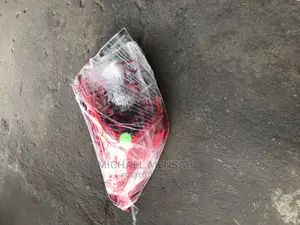 Honda Civic 20222 Tail Light