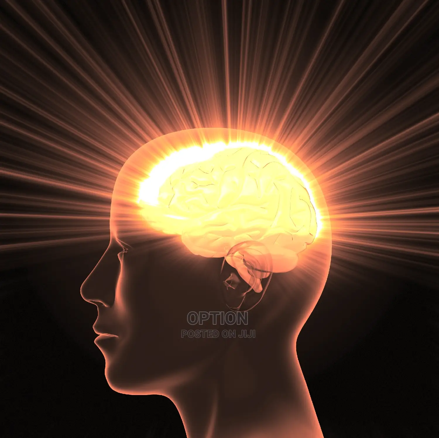 Organic Retentive Memory Honey Booster