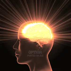 Organic Retentive Memory Honey Booster