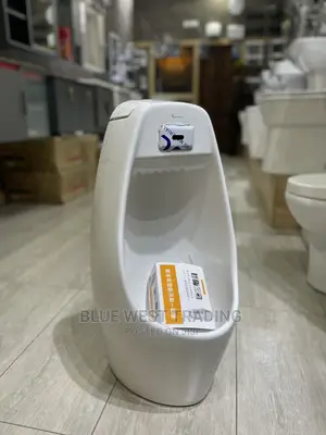 Sensor Urinal Pot