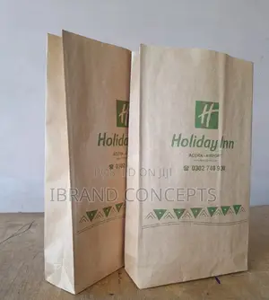 Disposable Paper Bags