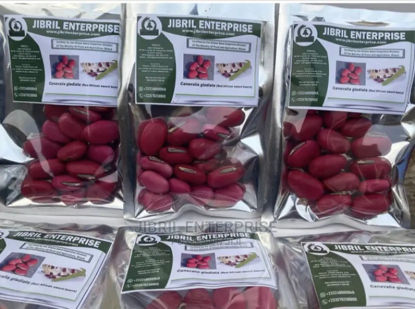 African Sword Beans (Canavalia Gladiata)