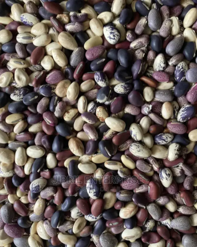 African Sword Beans Mixture (Canavalia Gladiata)