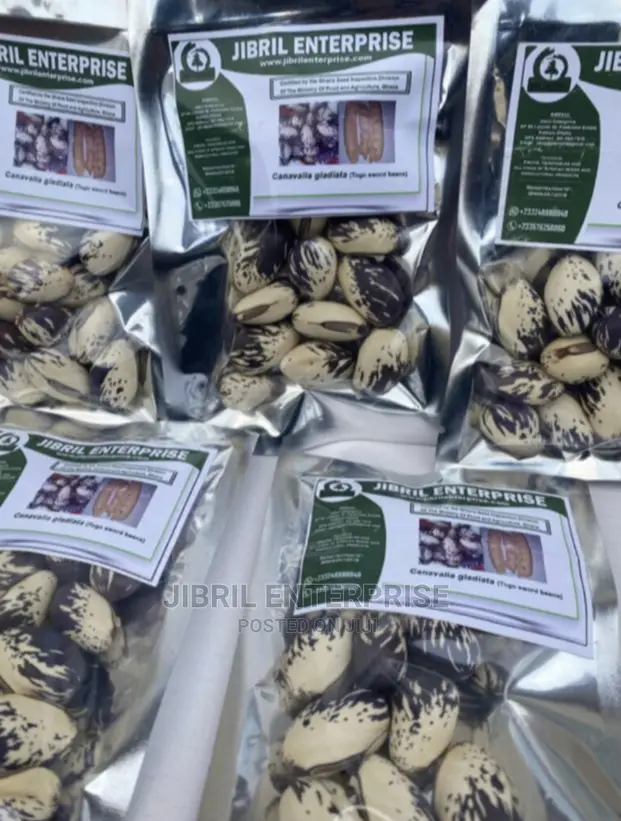Whitish Purple African Sword Beans (Canavalia Gladiata)