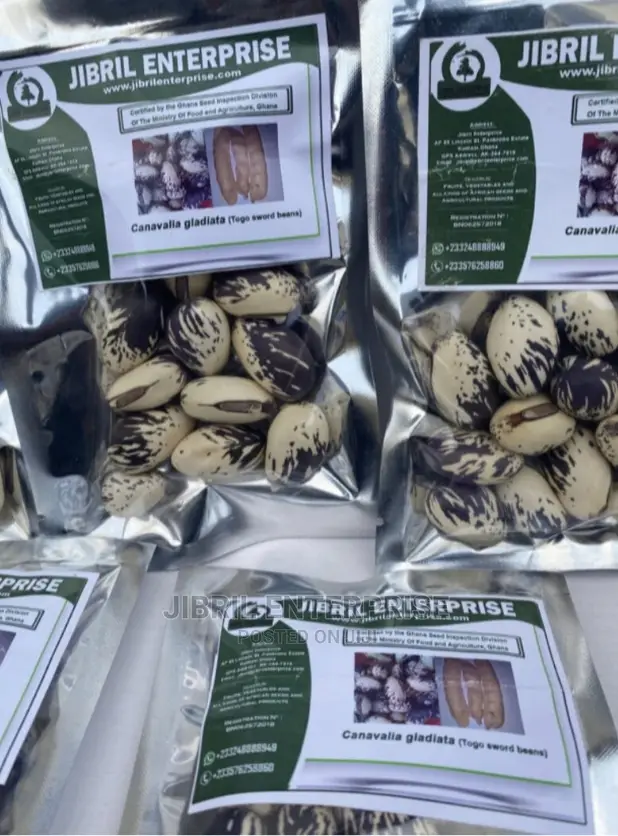 Whitish Purple African Sword Beans (Canavalia Gladiata)
