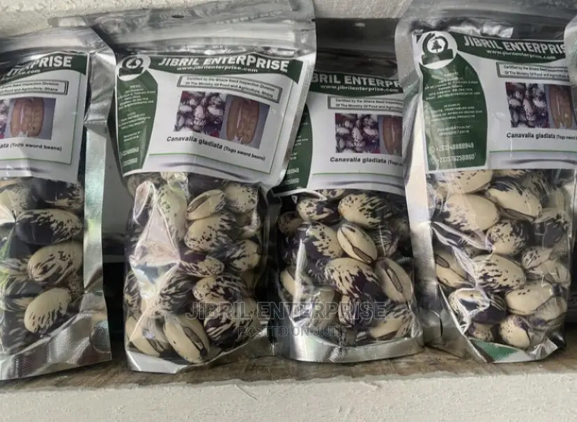 Whitish Purple African Sword Beans (Canavalia Gladiata)