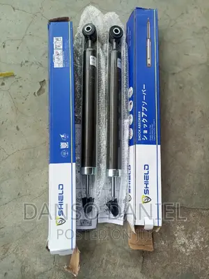 Escape 2013 Back Shock Absorber