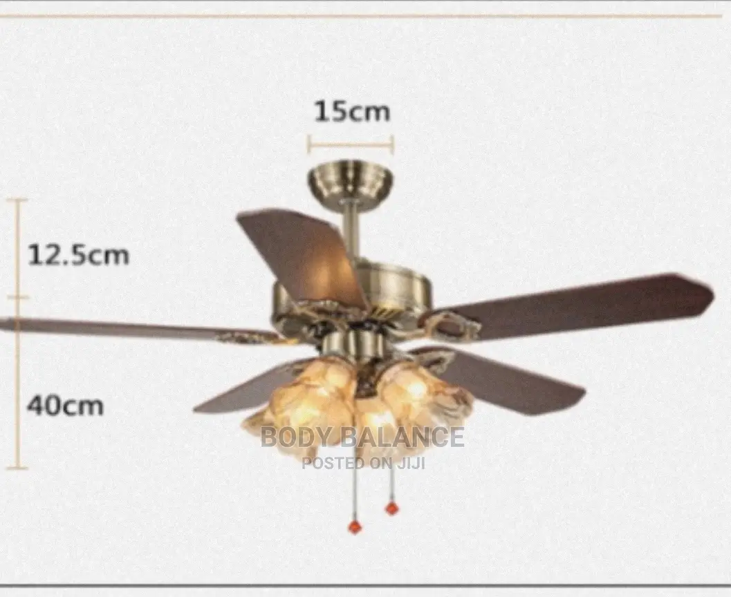 42" Decorative Ceiling Fan With Lights in Accra Metropolitan Home