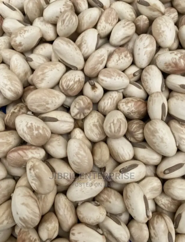 Whitish Sword Beans (Canavalia Gladiata)