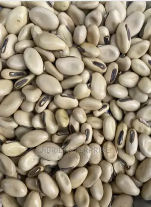 White Sword Beans (Canavalia Gladiata)