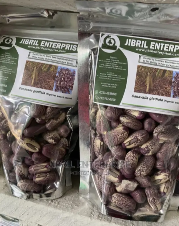 Purplish Sword Beans (Canavalia Gladiata)