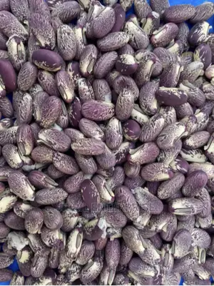 Purplish Sword Beans (Canavalia Gladiata)