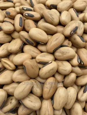 Yellowish Sword Beans (Canavalia Gladiata)