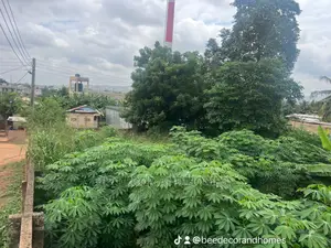 An Acre of Town Placid Town Land for Sale.