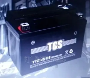 12 N 9 Short Battery