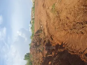 Two Plots of Land at Santasi Darko New Site