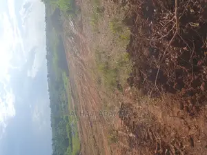 Two Plots of Land at Santasi Darko New Site