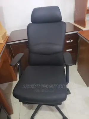 Ergonomic Chair
