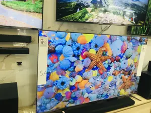Lg CXPVA 55 Inches Glossy Crystal Oled Tv