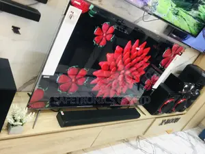BXPVA Long Lasting 65 Inches Oled Glossy LG Tv